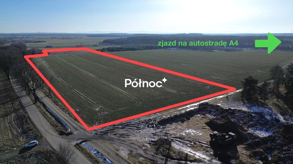 Zdjęcie 2