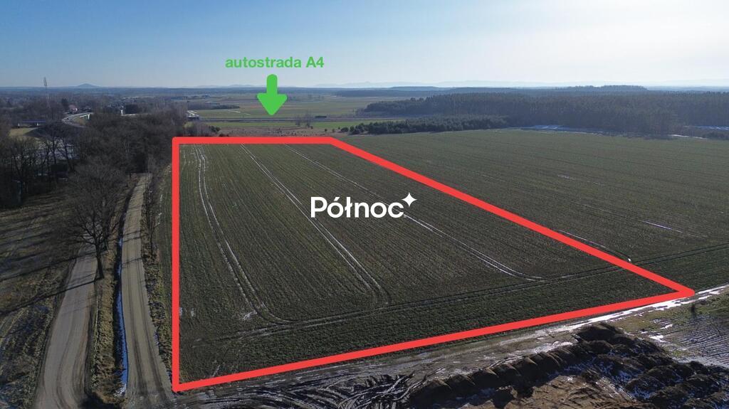 Zdjęcie 3