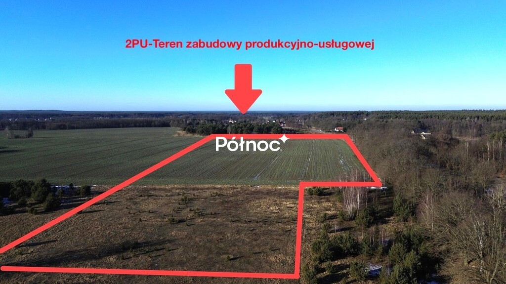 Zdjęcie 4