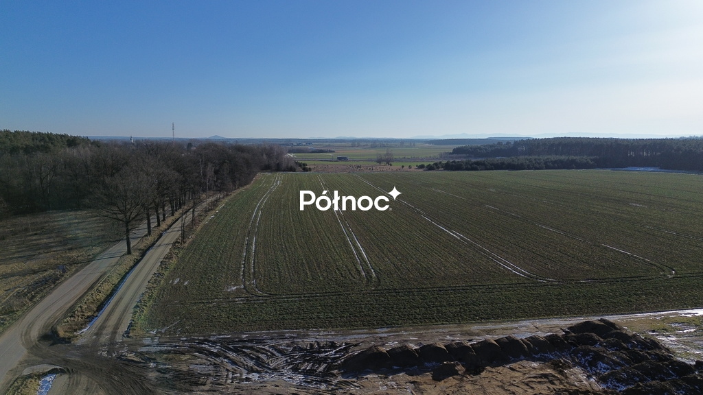 Zdjęcie 5