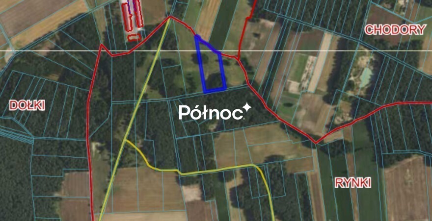 Zdjęcie 2