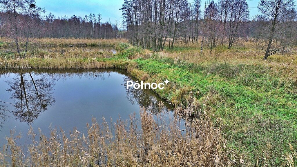 Zdjęcie 2