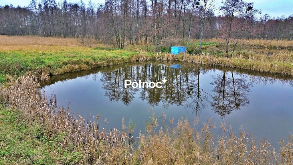 Zdjęcie 3