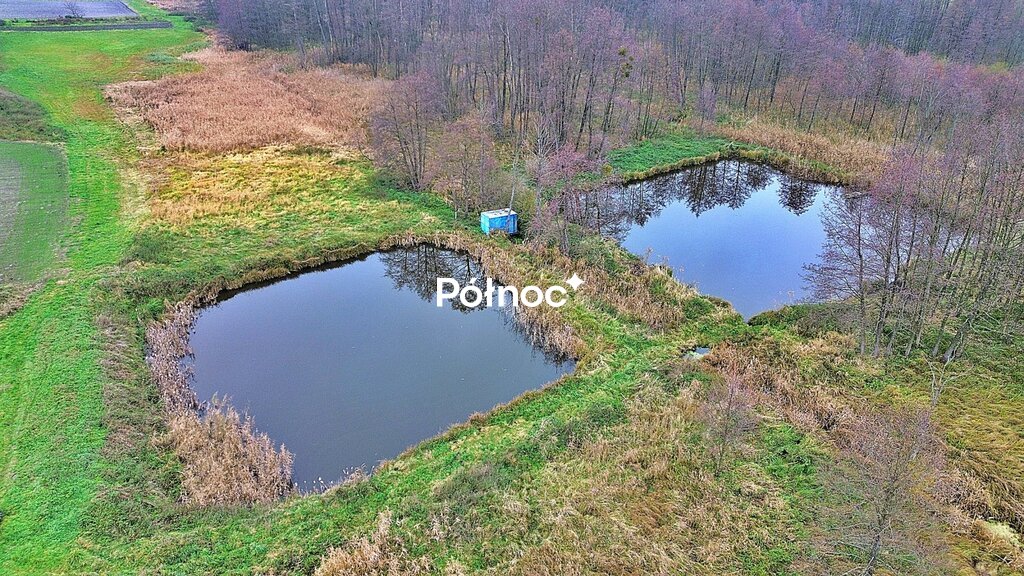 Zdjęcie 4
