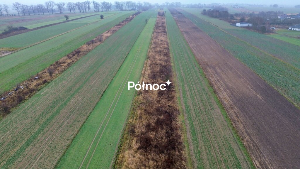 Zdjęcie 3
