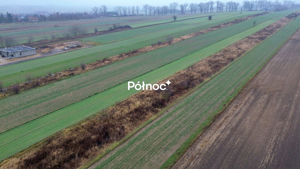 Zdjęcie 4