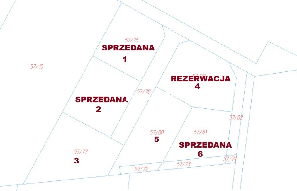 Zdjęcie 3
