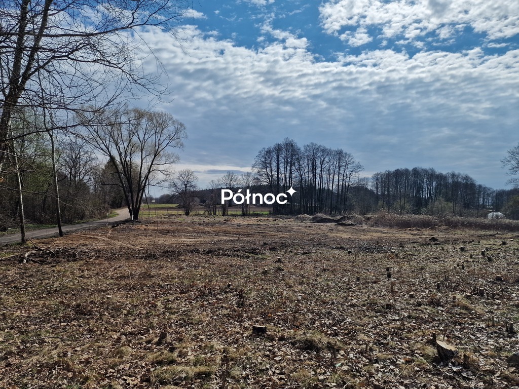 Zdjęcie 9