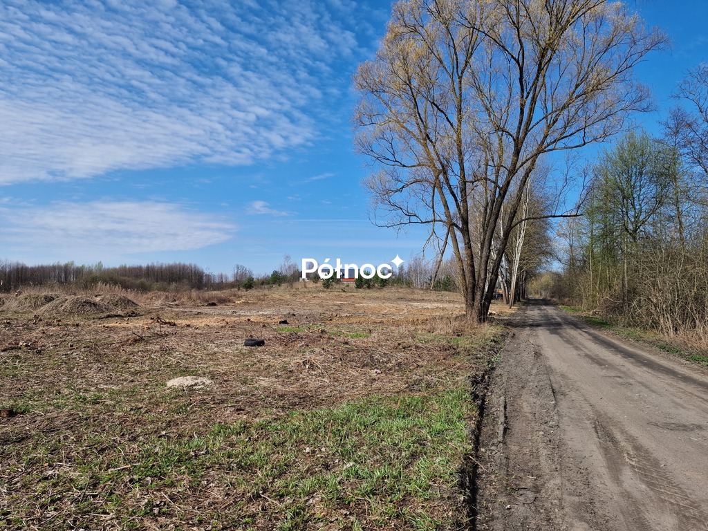 Zdjęcie 10