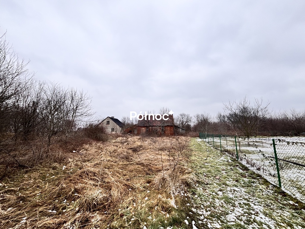 Zdjęcie 3