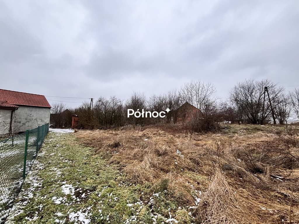 Zdjęcie 4