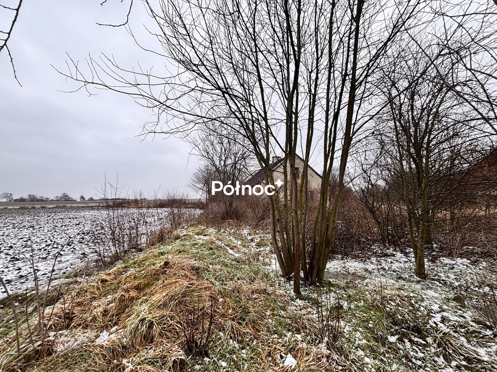 Zdjęcie 16