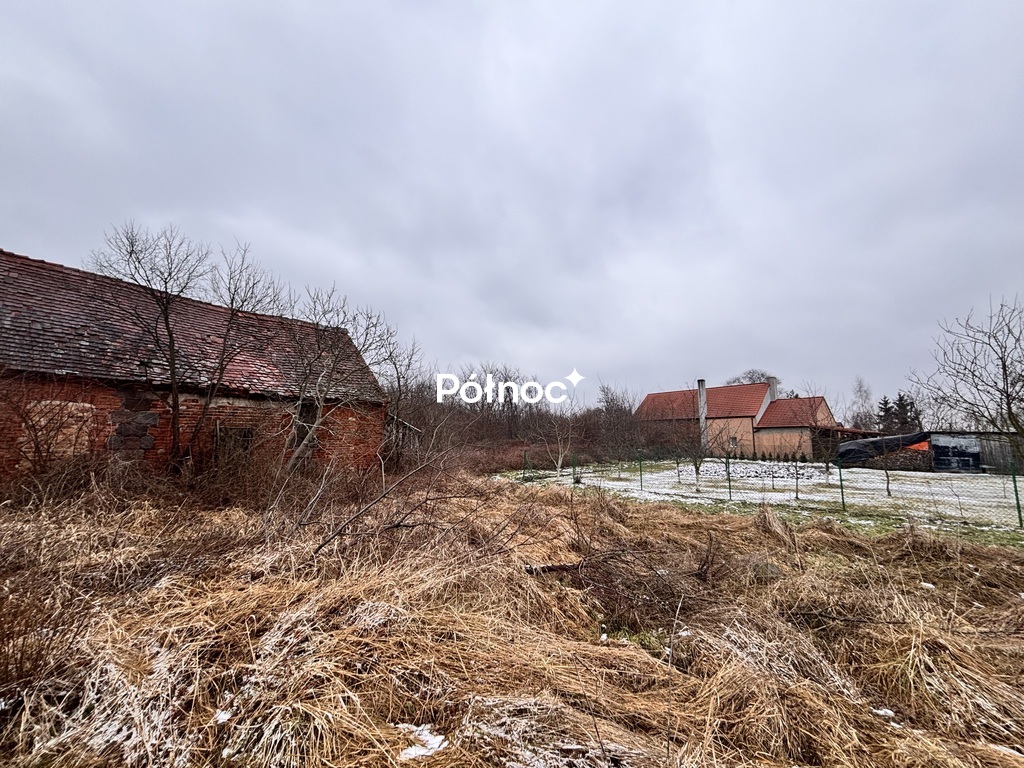 Zdjęcie 17