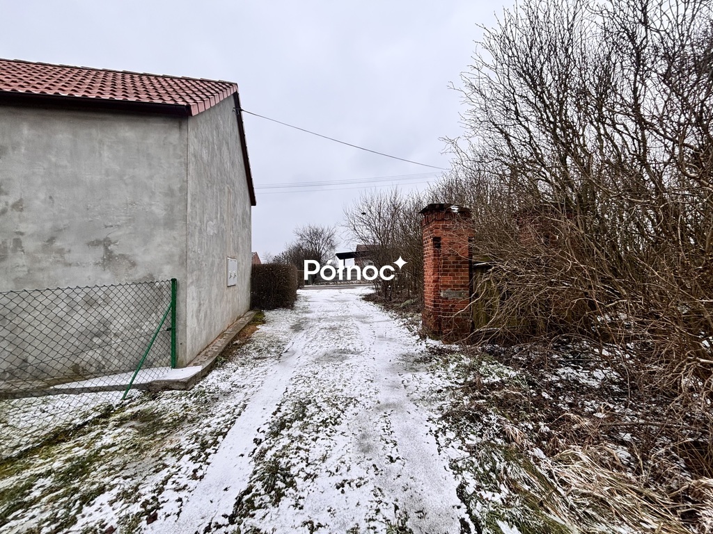Zdjęcie 19