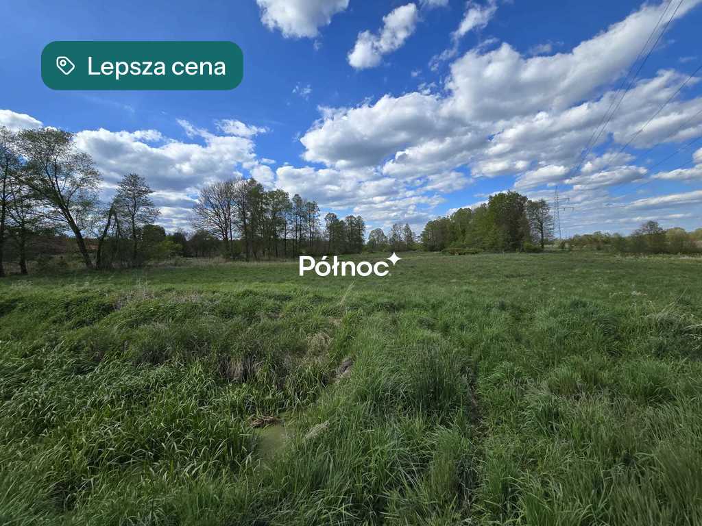 Zdjęcie 2