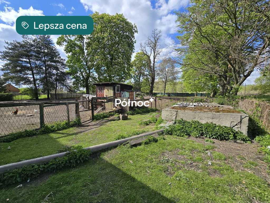 Zdjęcie 8