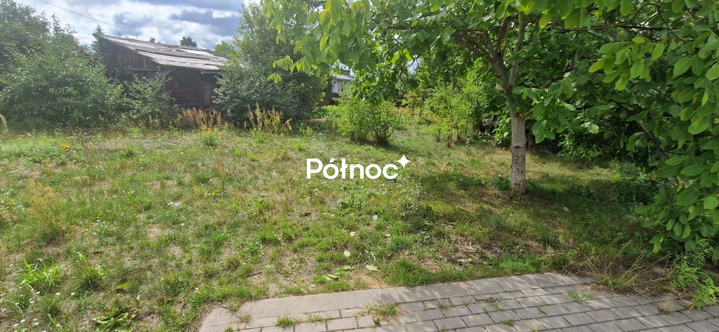 Zdjęcie 7