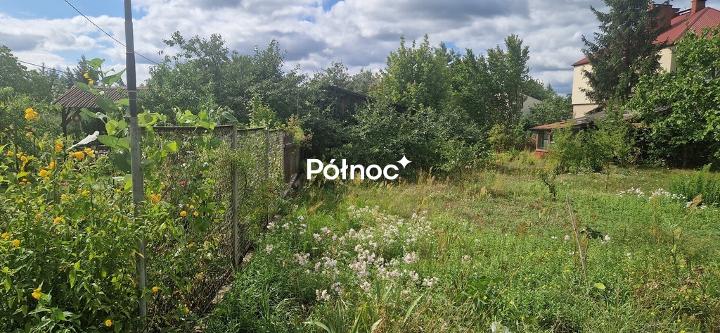 Zdjęcie 14