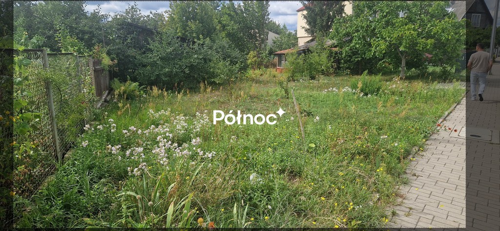 Zdjęcie 15