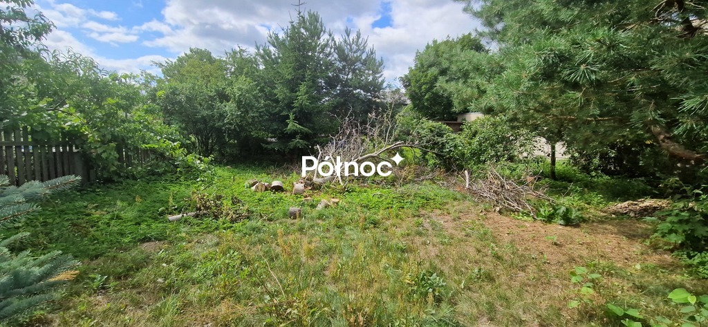 Zdjęcie 16