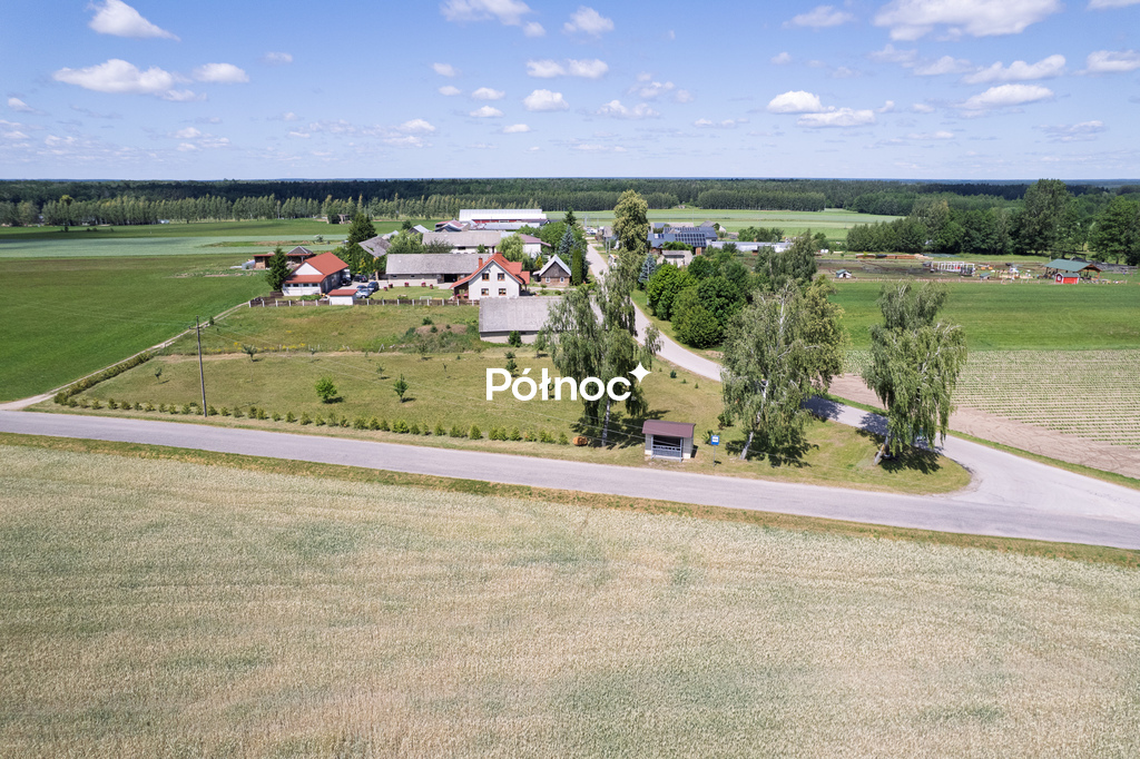 Zdjęcie 14