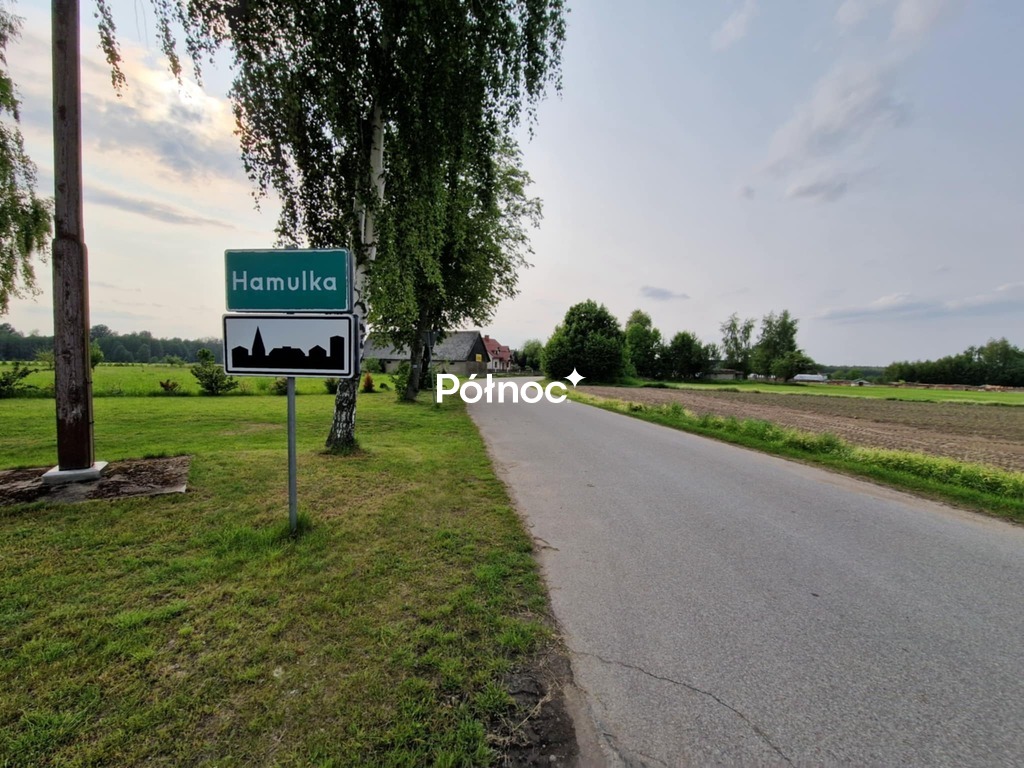 Zdjęcie 17