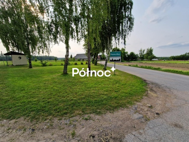 Zdjęcie 18