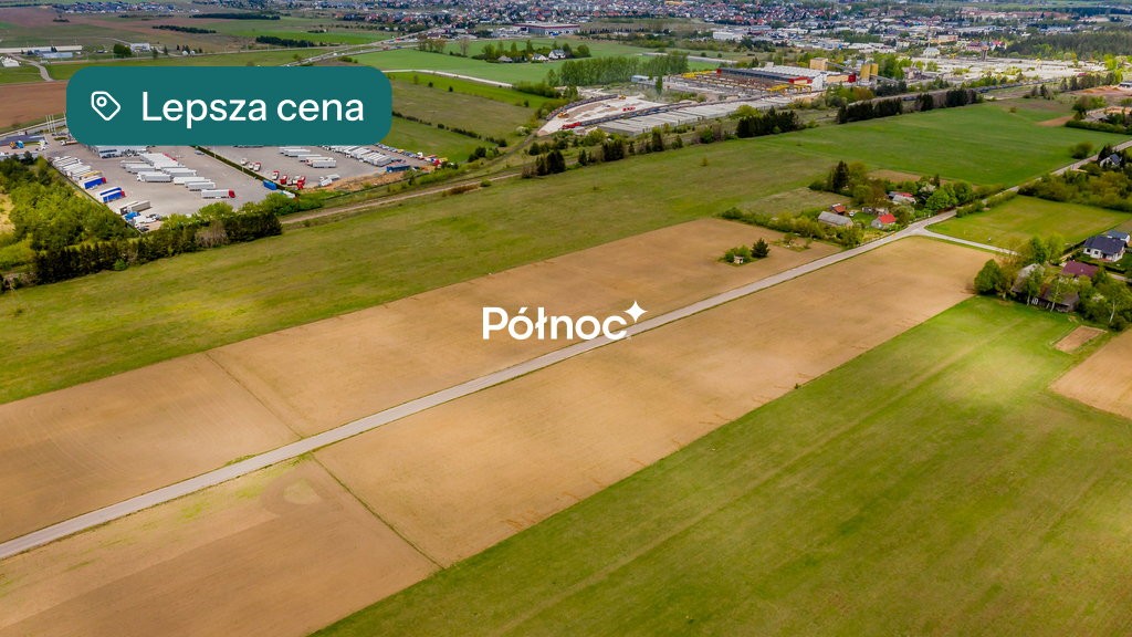 Zdjęcie 7