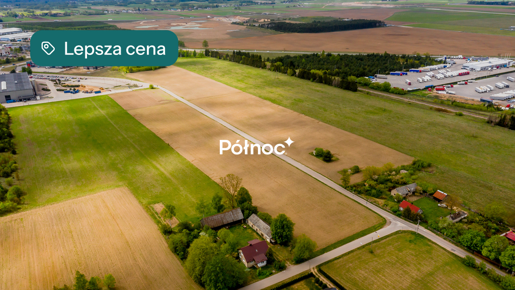 Zdjęcie 8