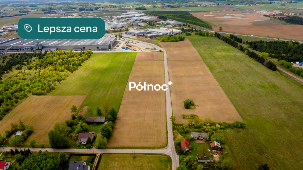 Zdjęcie 9