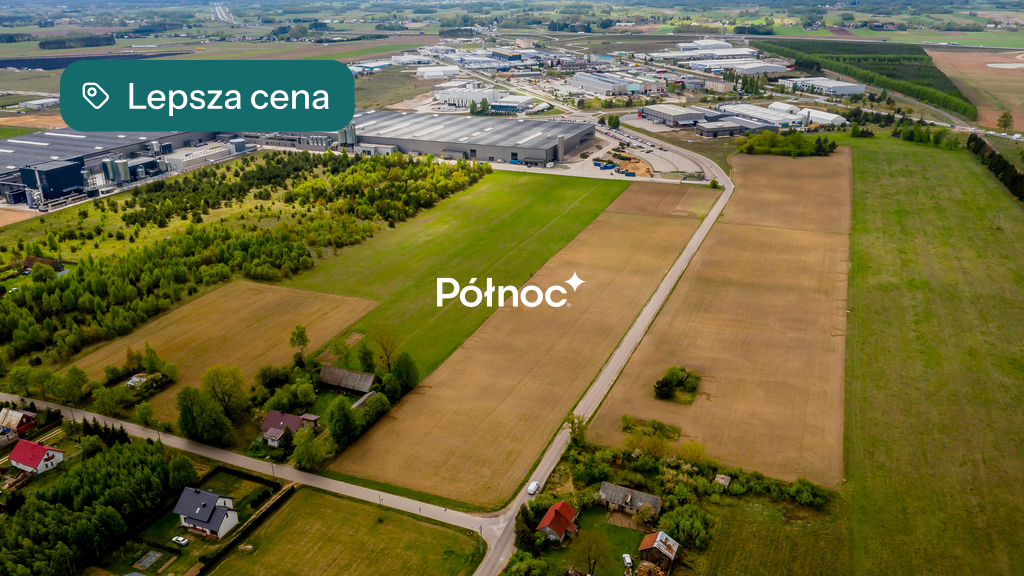 Zdjęcie 10