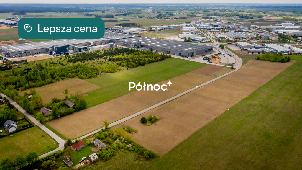 Zdjęcie 11