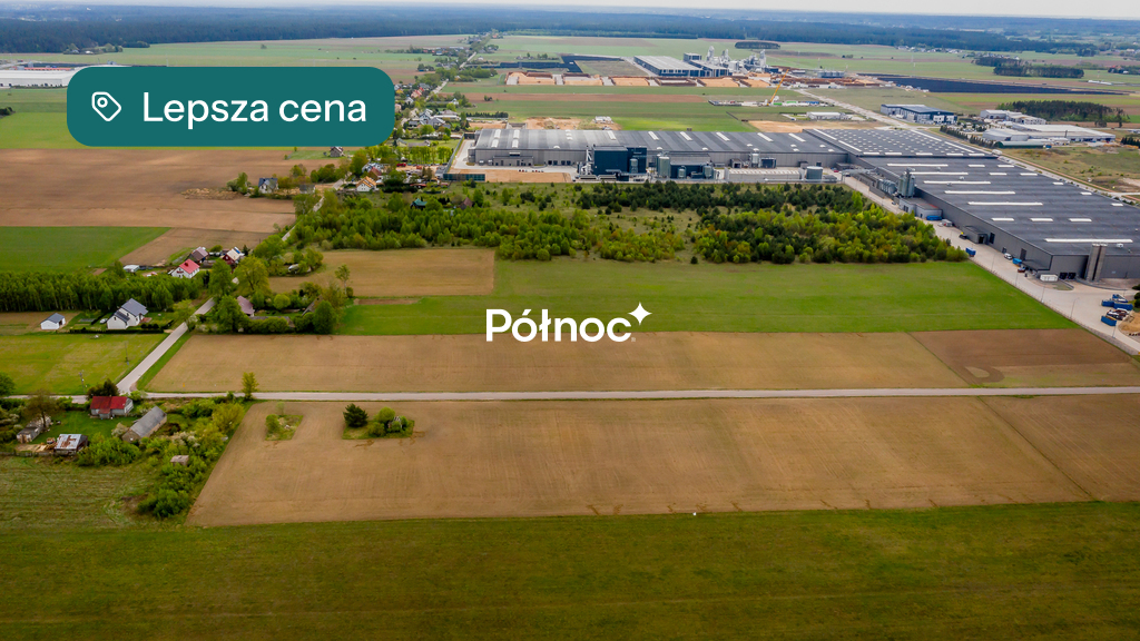 Zdjęcie 12