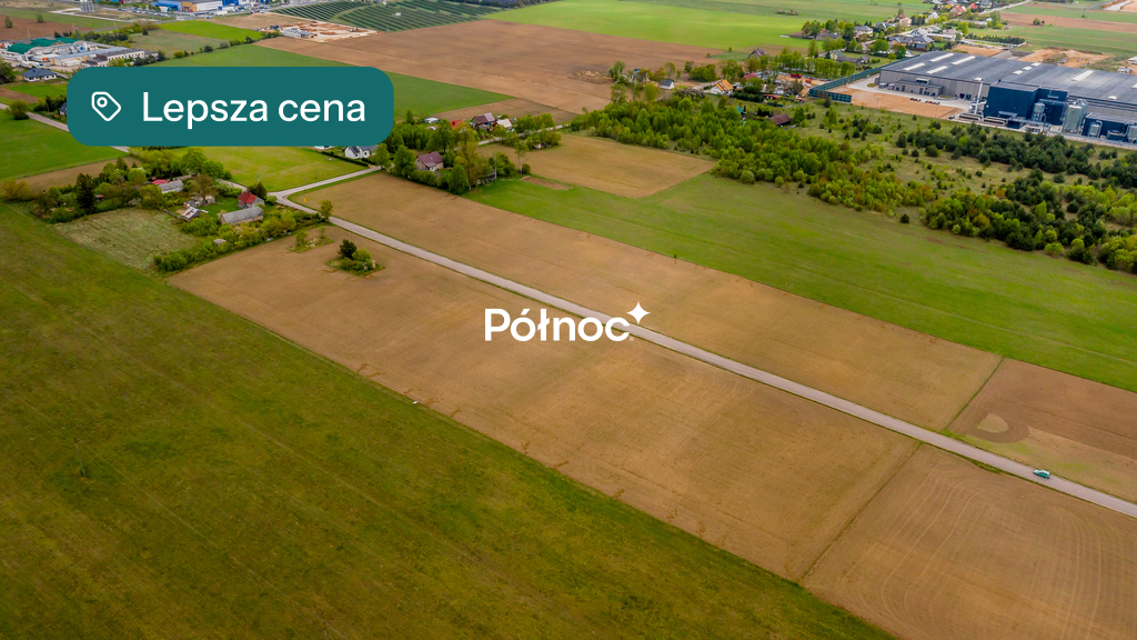 Zdjęcie 13