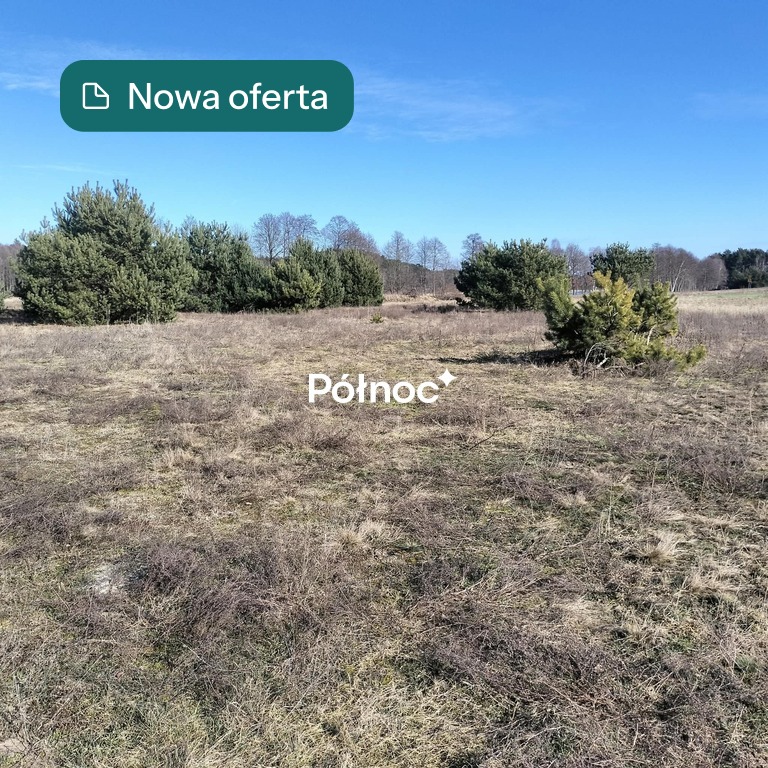 Działka 1035m2 | Goreń Duży | przy drodze
