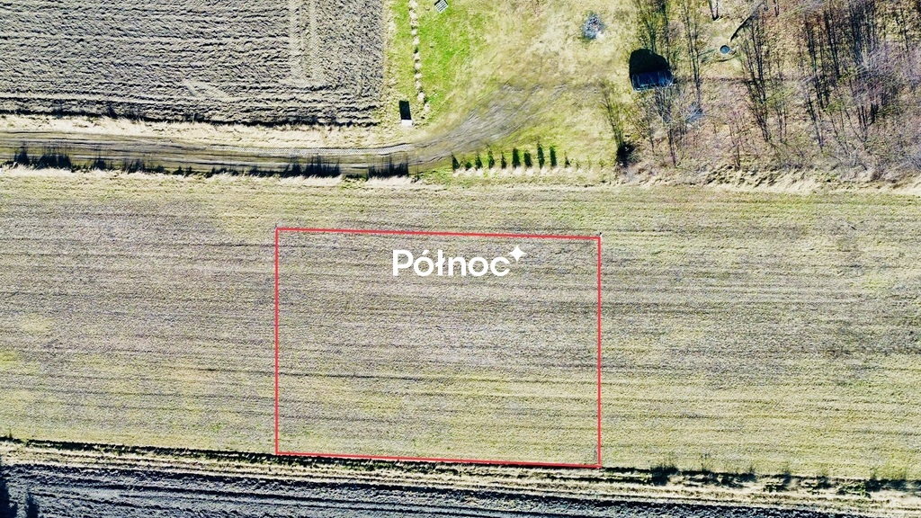 Zdjęcie 5