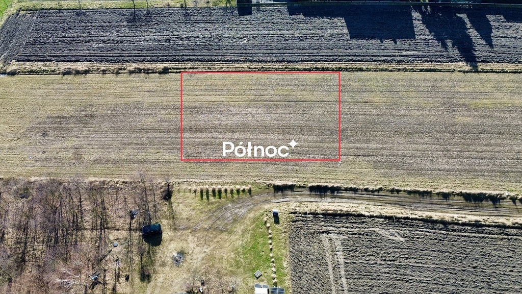 Zdjęcie 6