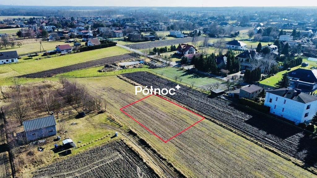 Zdjęcie 8