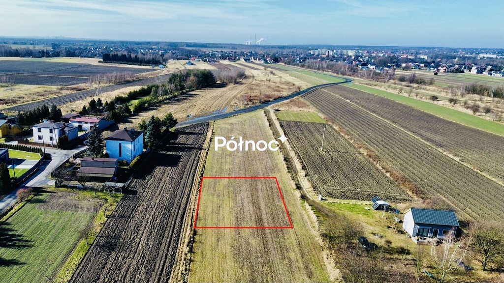 Zdjęcie 12