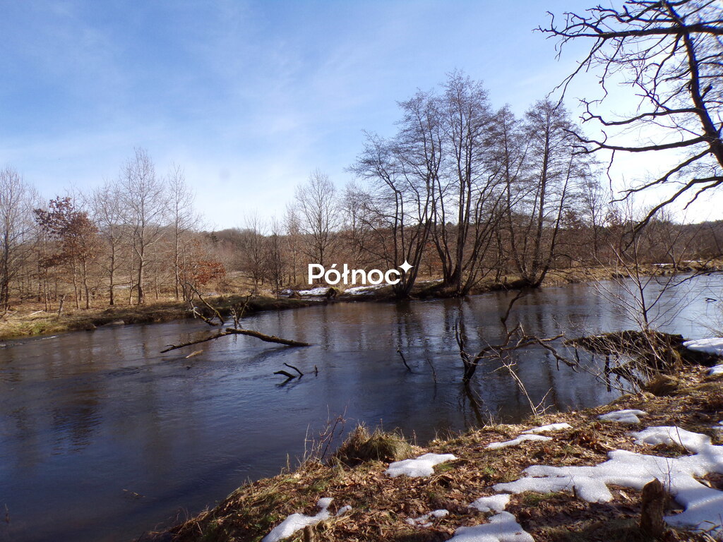 Zdjęcie 14
