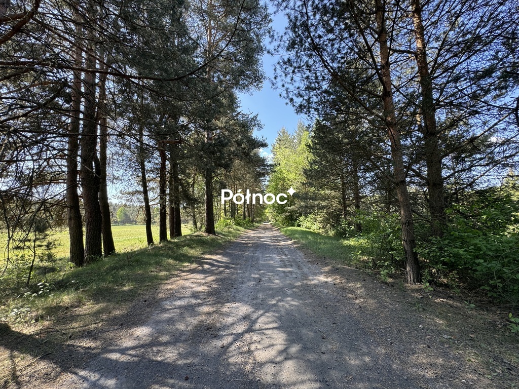 Zdjęcie 4