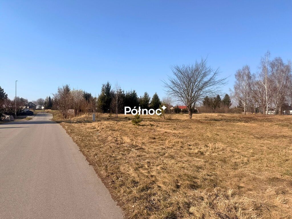 Zdjęcie 2