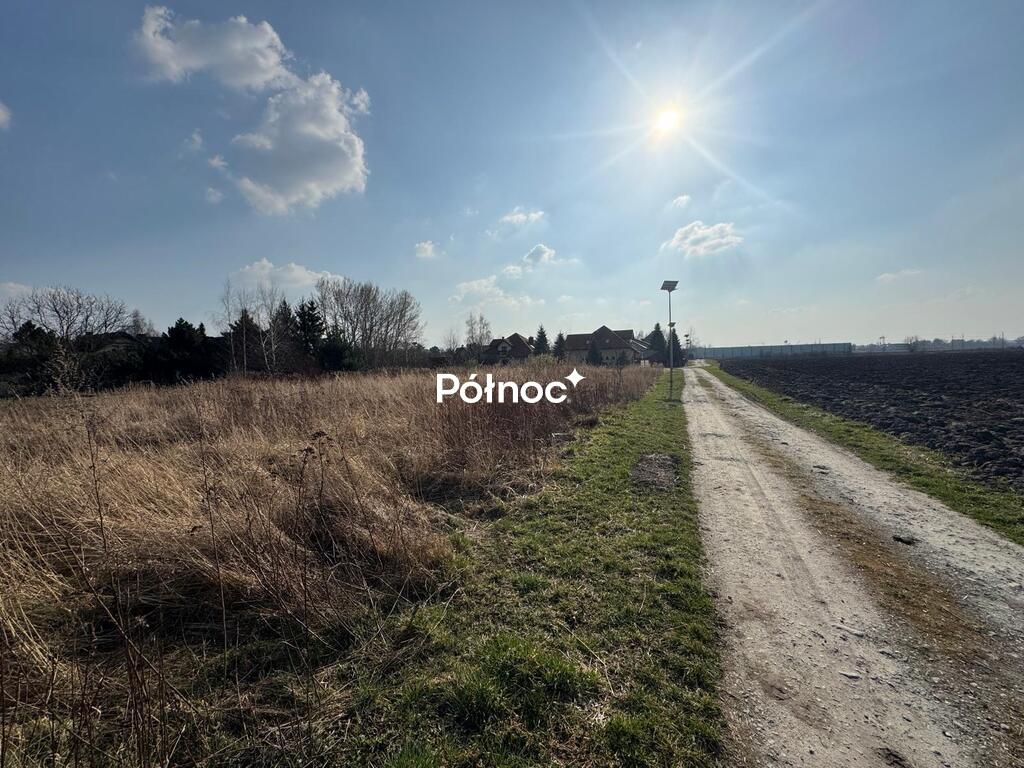 Zdjęcie 2