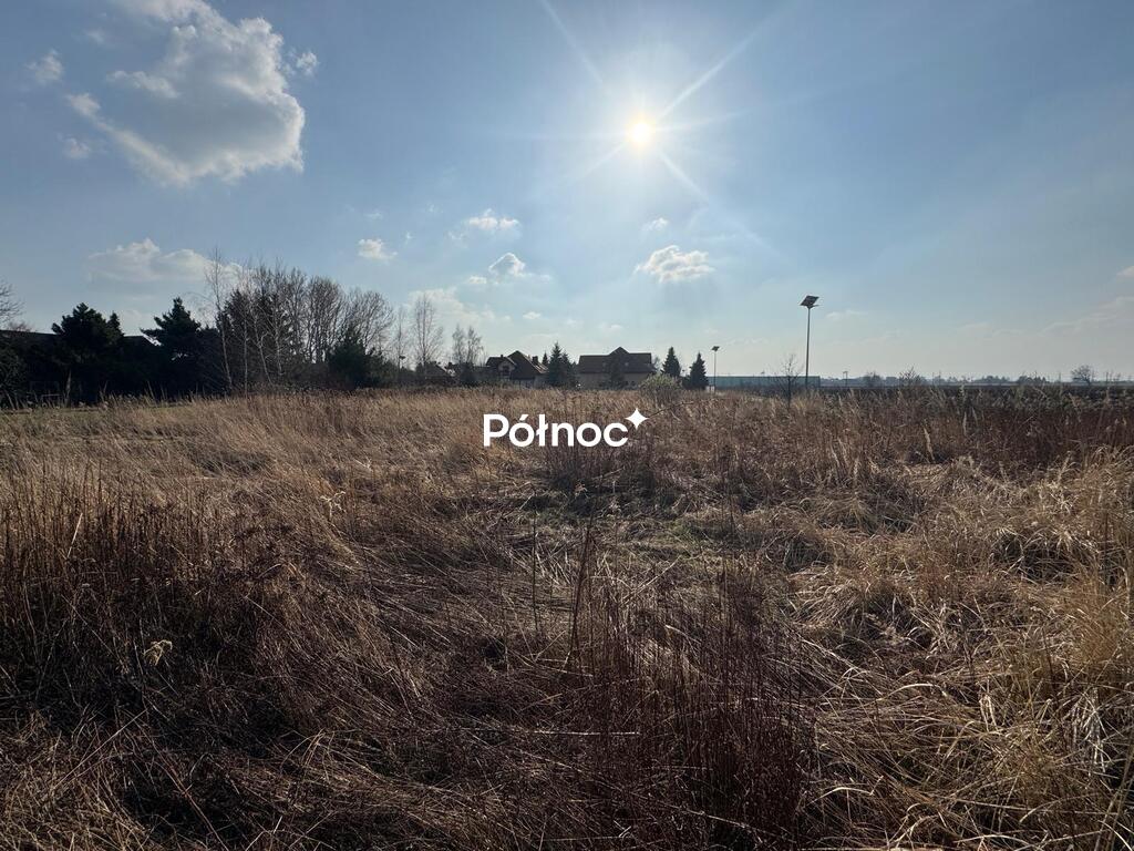 Zdjęcie 3