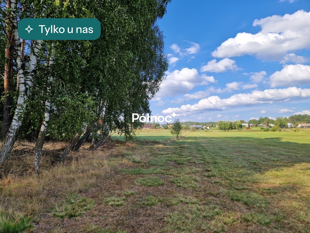 Działka leśna 0,3776 ha Krynickie gm. Zabłudów