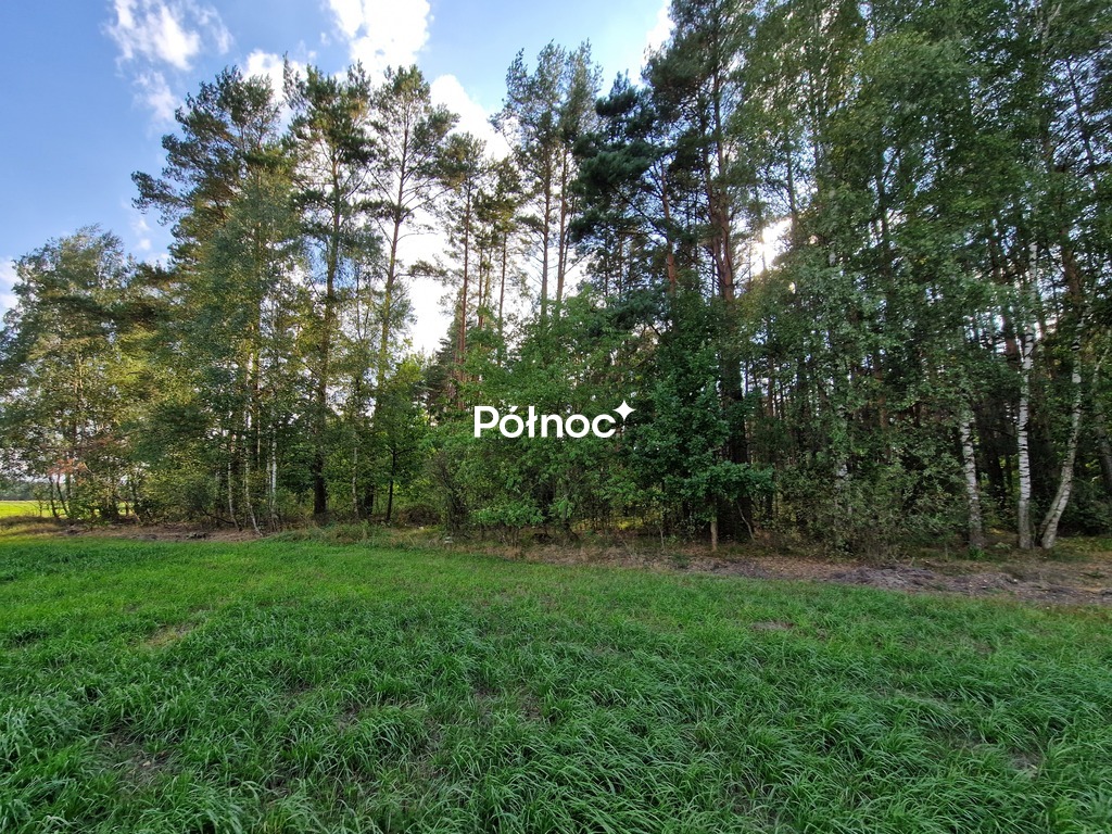 Zdjęcie 4
