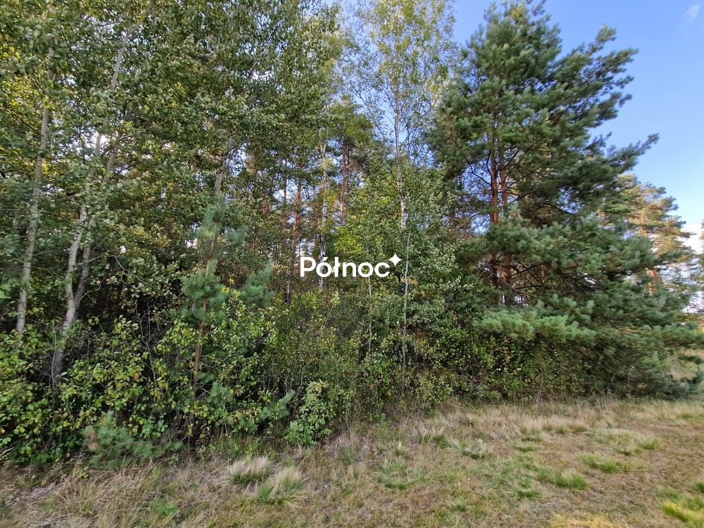 Zdjęcie 7