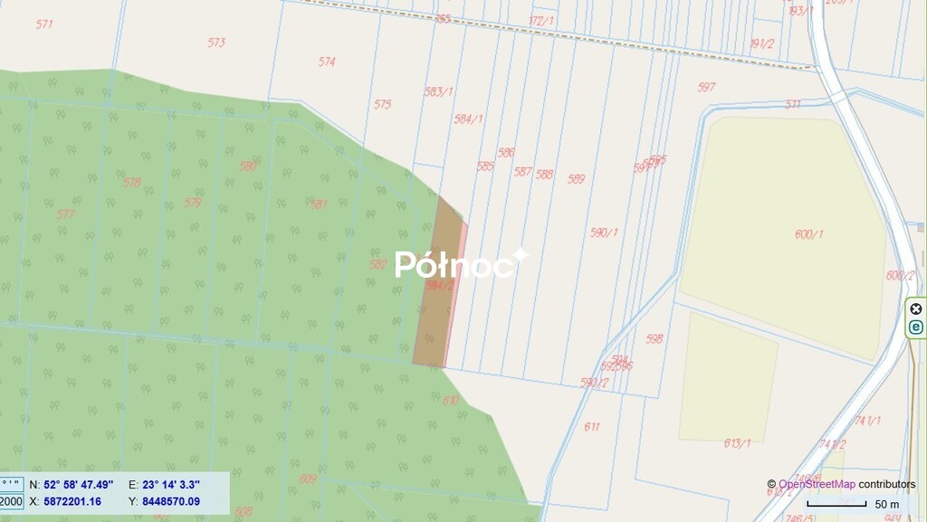 Zdjęcie 8