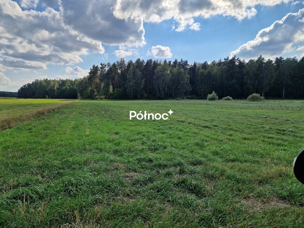 Zdjęcie 10