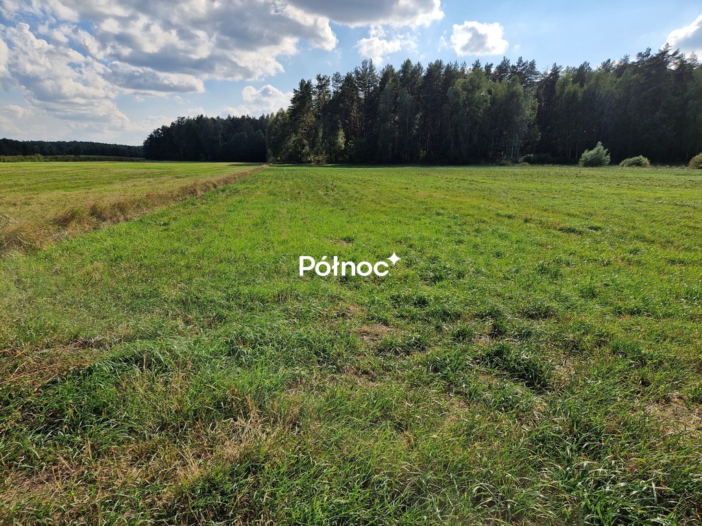 Zdjęcie 12